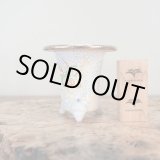 画像: 万年青鉢 /（3.3号）A-68