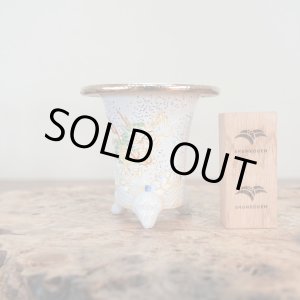 画像: 万年青鉢 /（3.3号）A-68