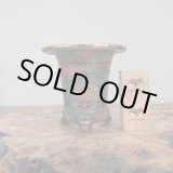 画像: 万年青鉢 /（3.8号）A-89