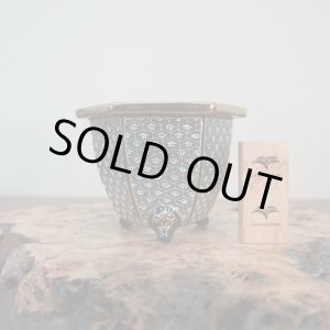 画像: 万年青鉢 / 六角 / 加茂黒 / ワイドサイズ / (5.0号)A-188