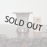 画像: 万年青鉢 /（3.3号）C-18