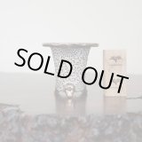 画像: 万年青鉢 /（3.0号）C-23