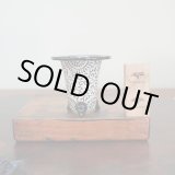 画像: 万年青鉢 /（3.0号）/ 165