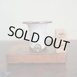 画像: 万年青鉢 /（3.5号）/ 209