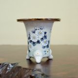 画像: 万年青鉢 /（3.3号）/ 71