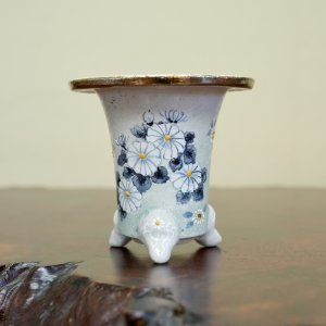画像: 万年青鉢 /（3.3号）/ 71