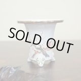 画像: 万年青鉢 /（3.3号）/  69