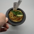 画像2: 8.珠宝（芋吹き） (2)