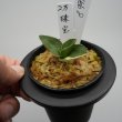 画像3: 8.珠宝（芋吹き） (3)