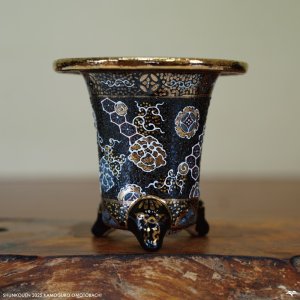 画像: 加茂黒 / 万年青鉢 /（3.3号）/ 149