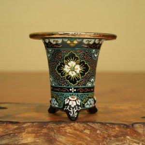 画像: 万年青鉢 /(3.3号)/ 16