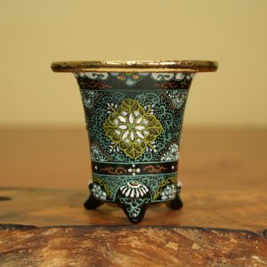 画像: 万年青鉢 /(3.0号)/ 8