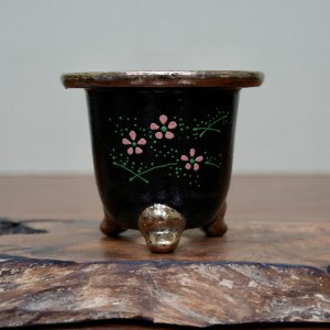 画像: 万年青鉢 / ワイドサイズ / (9.5cm × 10.5cm)/ 216